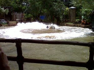 IMG00183-20110303-1142