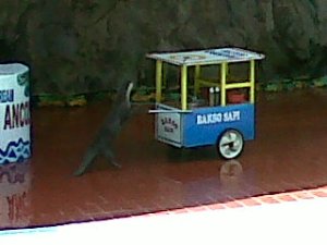 IMG00185-20110303-1226