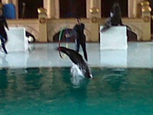 IMG00208-20110303-1352