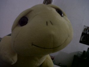 IMG00212-20110303-1949