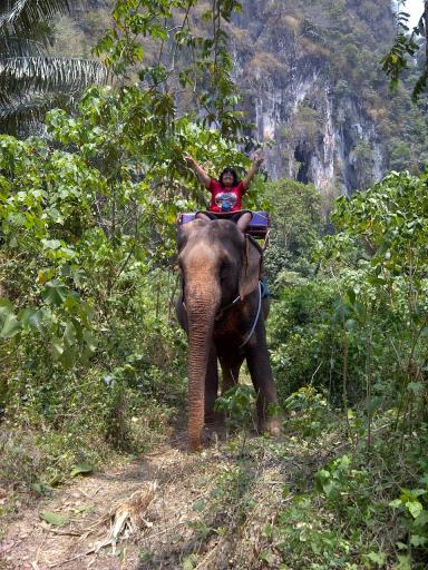 Elephant Trekking
