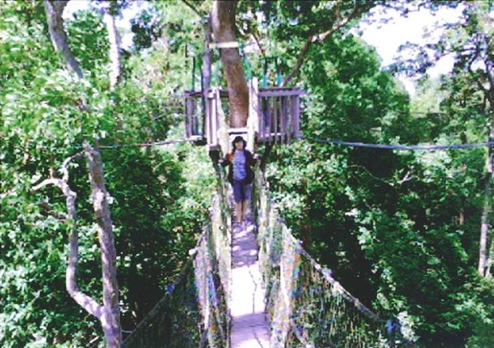 201507011156-page-001