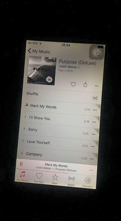 12246765_10206873734593734_7712000648519287126_n