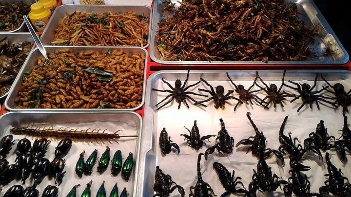 12270471_10206885380084864_1055088257_n