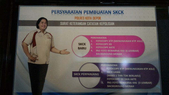 wp-1454320859965 image