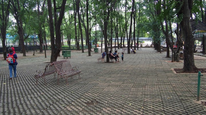 Kebun Binatang Ragunan