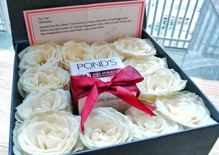 p_20161222_113842_vhdr_auto-01