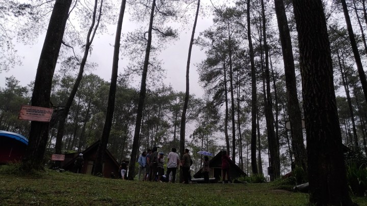 p_20170212_092524_vhdr_auto