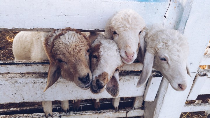 Processed with VSCO with a5 preset