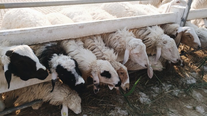 Processed with VSCO with a6 preset