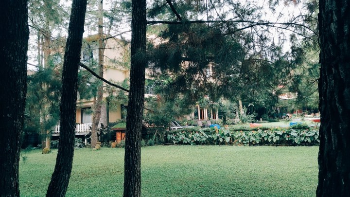 Processed with VSCO with e3 preset